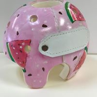 22195681_1080746532027907_1301802610455449961_n